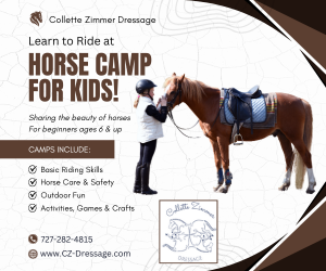 CZ Dressage Camps